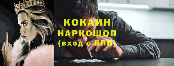 сатива Беломорск