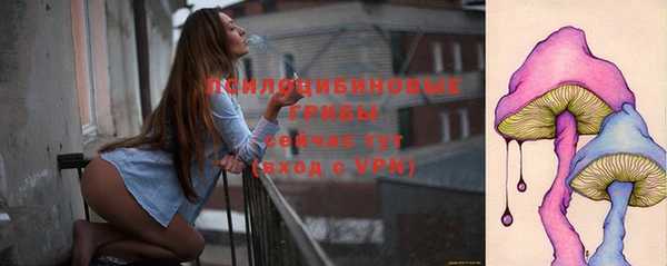 сатива Беломорск