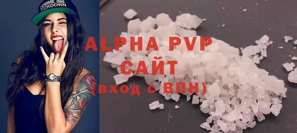 шишки Белокуриха