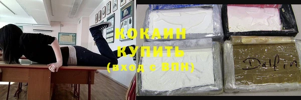 шишки Белокуриха