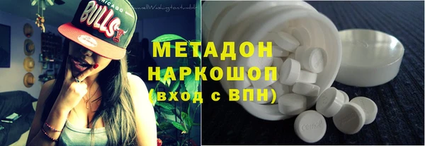 сатива Беломорск