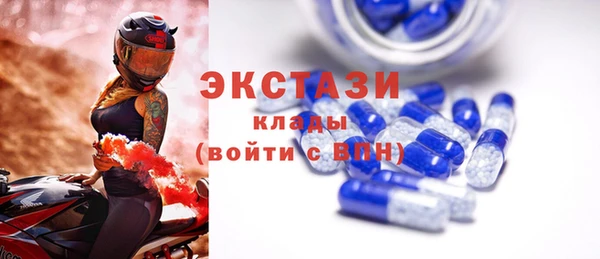 шишки Белокуриха
