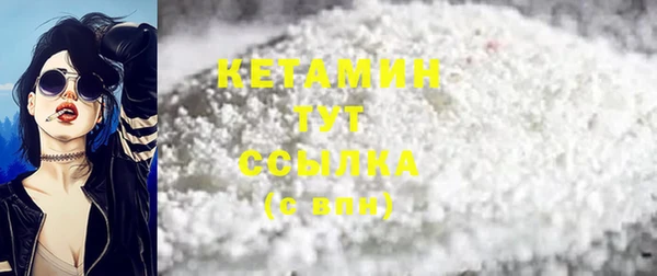 шишки Белокуриха