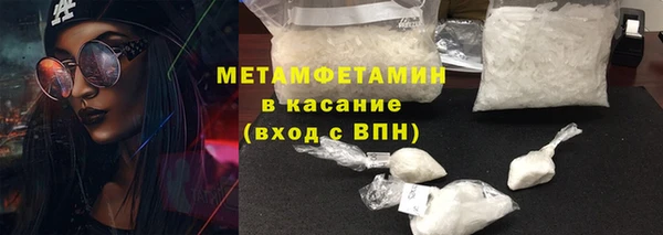 шишки Белокуриха