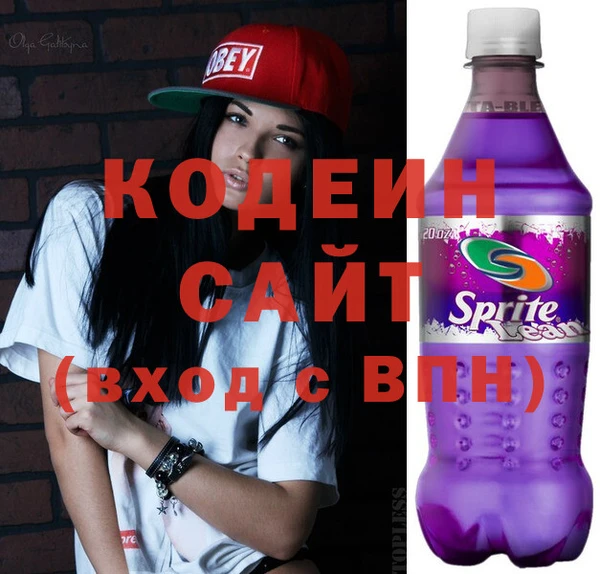 шишки Белокуриха