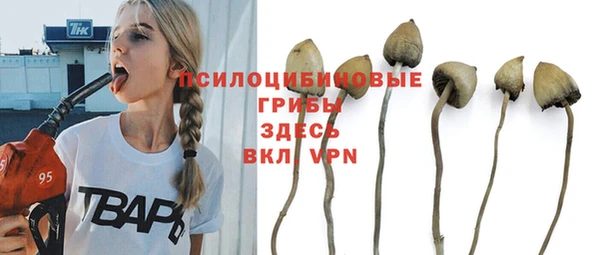 гашик Белоозёрский