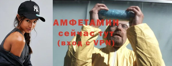 сатива Беломорск