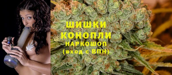 сатива Беломорск