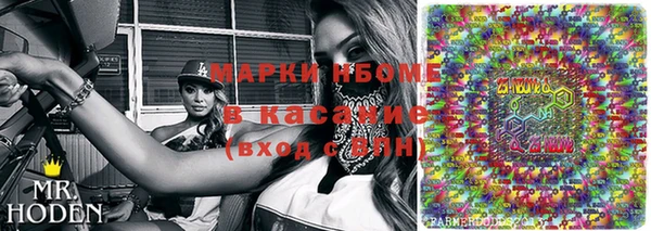 сатива Беломорск