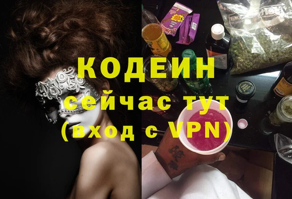 шишки Белокуриха