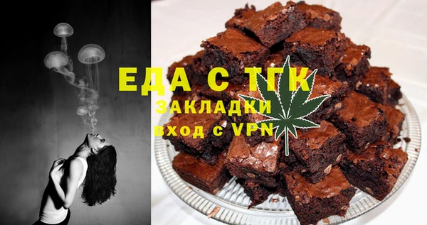 шишки Белокуриха