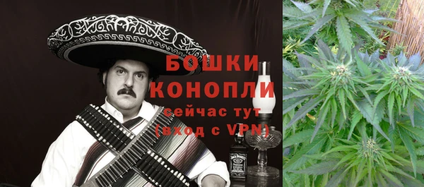 гашик Белоозёрский