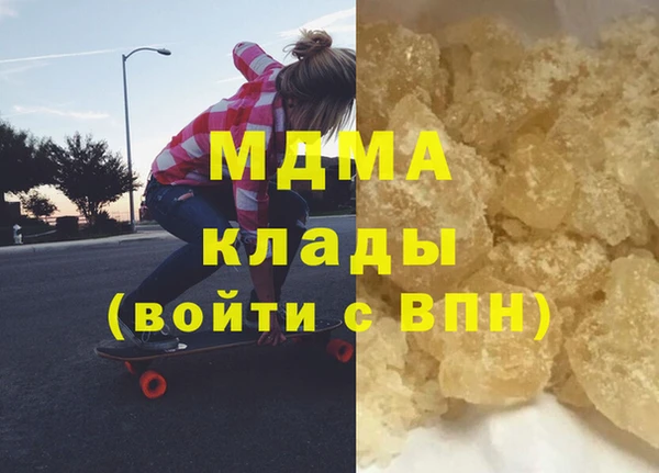 шишки Белокуриха