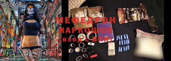 шишки Белокуриха
