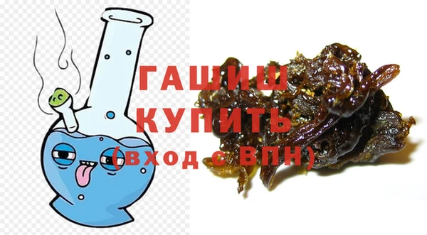 шишки Белокуриха