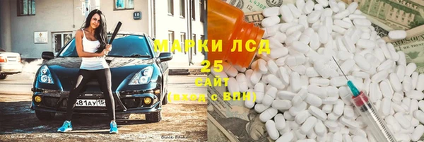 шишки Белокуриха