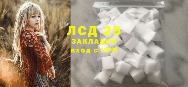 сатива Беломорск