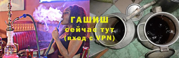 сатива Беломорск