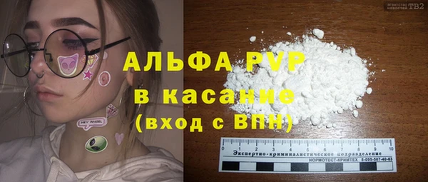 сатива Беломорск