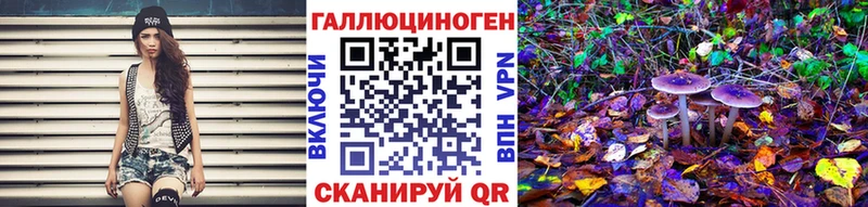 закладка  Дальнегорск  это телеграм  Галлюциногенные грибы мухоморы 