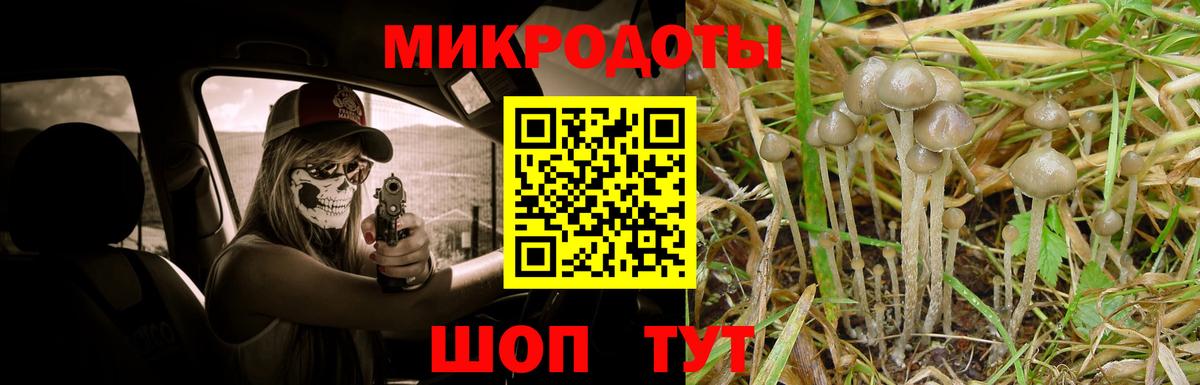 Псилоцибиновые грибы мухоморы  Галлюциногенные грибы Psilocybe  Вход с VPN  Дальнегорск 
