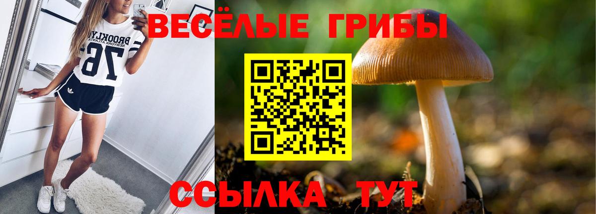 Псилоцибиновые грибы Psilocybe  Дальнегорск 